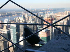 Nálada Američanov klesla na rekordné minimum