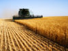 Eurokomisia uvoľní 540 miliónov eur pre farmárov