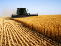 Eurokomisia uvoľní 540 miliónov eur pre farmárov
