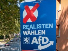 Rok 2026 bude pre Nemecko rokom volieb. Čo ak sa AfD stane najsilnejšou stranou?