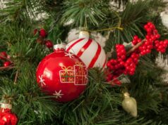 Vianočné stromčeky sa na územie Slovenska dostali v polovici 19. storočia