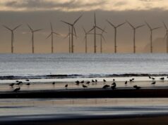 Súd v Štrasburgu: Veterné turbíny škodia zdraviu