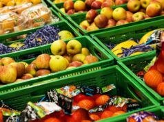 Brusel pretlačil nové GMO: na stoly mieria rizikové potraviny