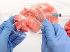 V Holandsku otvárajú prvú farmu na pestovanie mäsa z buniek