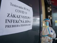 Kauza MOM-ky: Štát platil, biele kone vyberali – najprv zmizli peniaze, potom dáta
